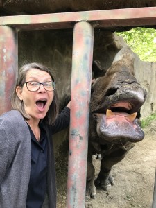 indian rhino cincin zoo