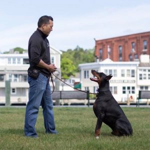 Michael Shikashio – Complete Canine: Aggressive dogs