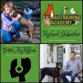 [Episode 143] – Michael Shikashio & Trish McMillan; Nobody makes good decisions whilst being strangled.